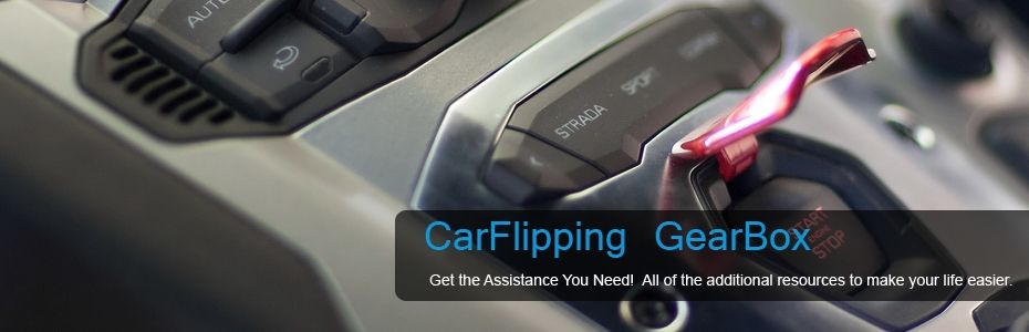 CarFlipping GearBox