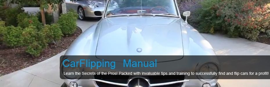 CarFlipping Manual