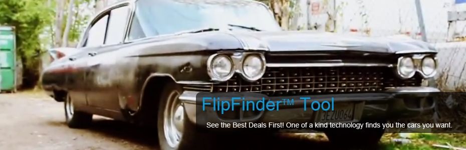 FlipFinder Tool